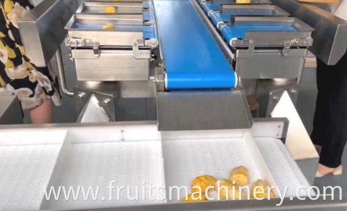 Fruits And Vegetables Weighing And Packaging Machine